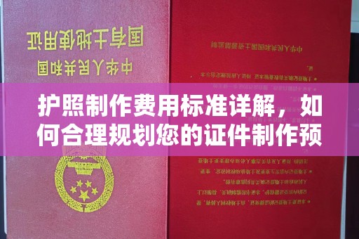 滨湖护照制作费用标准详解，如何合理规划您的证件制作预算